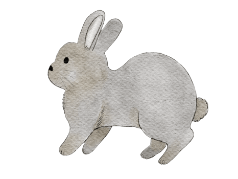 Rabbit Watercolor Illustration png