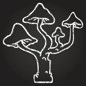 Mushrooms Chalk Drawing vector