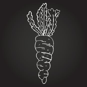 Carrot Chalk Drawing vector