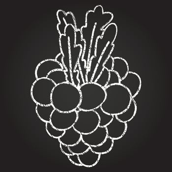Grapes Chalk Drawing vector