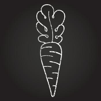 Carrot Chalk Drawing vector