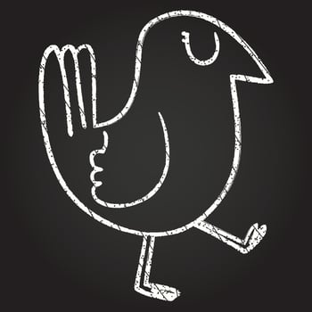 Walking Bird Chalk Drawing vector
