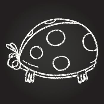 Ladybug Chalk Drawing vector