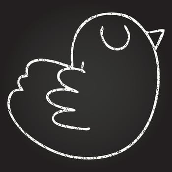 Bird Chalk Drawing vector