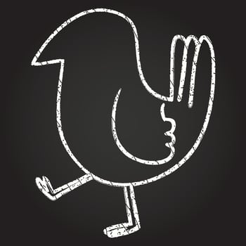 Walking Bird Chalk Drawing vector