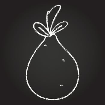 Pear Chalk Drawing vector
