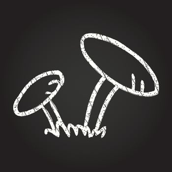 Mushrooms Chalk Drawing vector