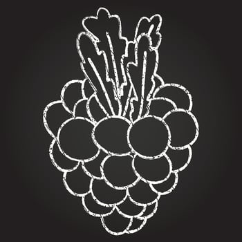 Berry Chalk Drawing vector