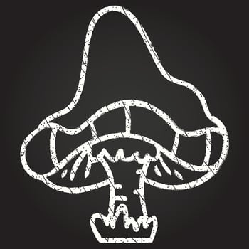 Mushroom Chalk Drawing vector