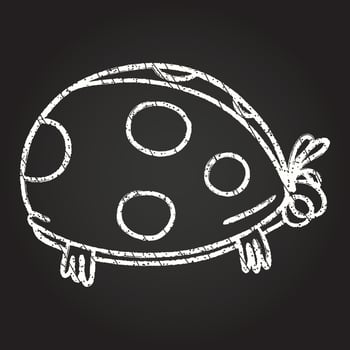 Ladybug Chalk Drawing vector