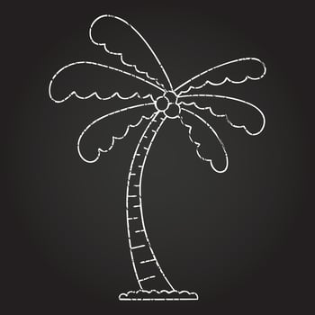 Palm Tree Chalk Drawing vector