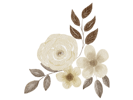 Flowers Watercolor Illustration png