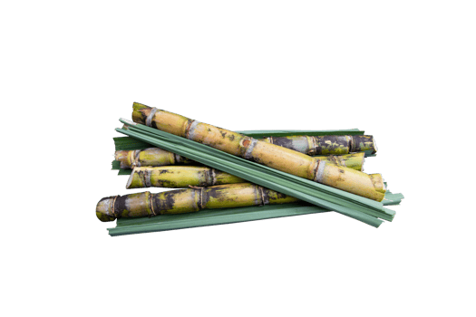 Fresh organic sugarcane with leaf isolated on the background png