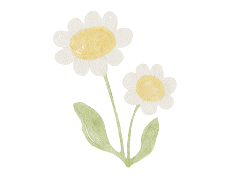 Daysi Watercolor Illustration png
