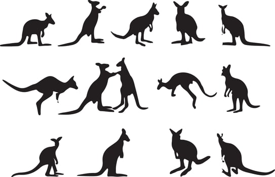 The set of kangaroo silhouette collection vector