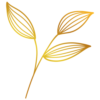 Golden Leaves Line Art png