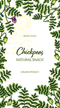 Colorful vertical chickpeas design. Hand drawn illustration in colored sketch style. Botany design for packaging, label, banner, poster vector