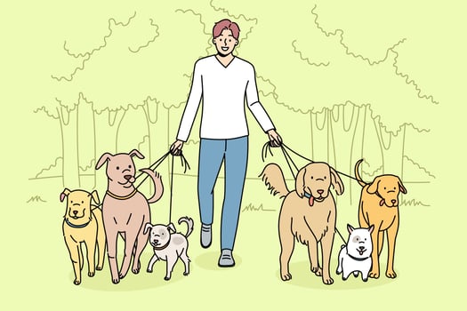Smiling man walking dogs on leashes in park. Happy male walker provide professional pet walk service. Domestic animals care concept. Flat vector illustration.