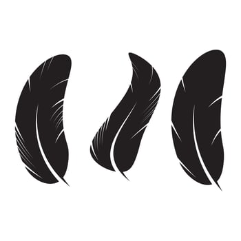feather icon Vector Illustration design Logo