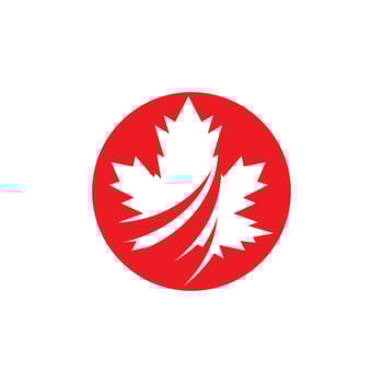 Maple leaf vector illustration