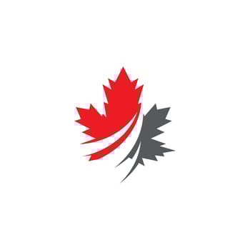 Maple leaf vector illustration