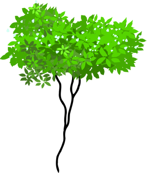 tree illustration png