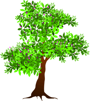 tree illustration png