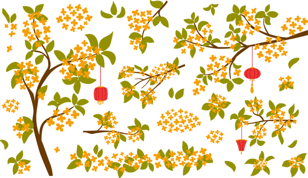 Asian floral branch set. Korean flowers collection. Blossoming osmanthus fragrans. Traditional oriental osmanthus flowers isolated elements. Decorative japanise floral branches. PNG illustration.