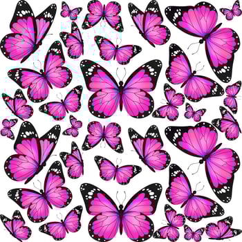 Pink realistic flying monarch butterfly pattern on a white background. Vector illustration backdrop. Decorative texture print design. Colorful fairy wings template.