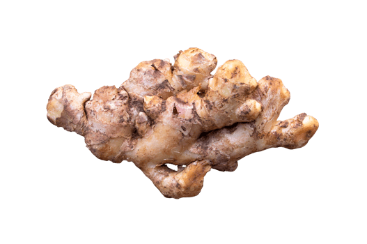Natural Raw ginger root isolated on the background png