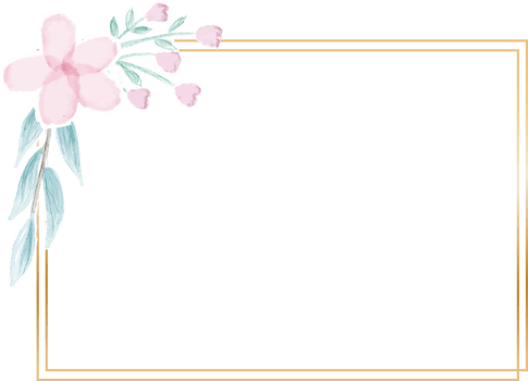 geometric golden frame with decorative watercolor flower png