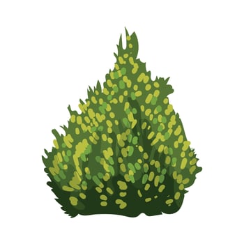 Vector illustrator of  Detailed Bushes
