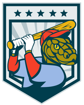 Serpent viper snake playing baseball bat png