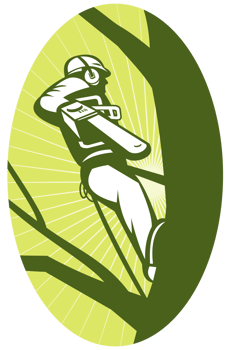 tree surgeon arborist chainsaw cutting png