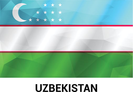 Uzbekistan Flag design vector
