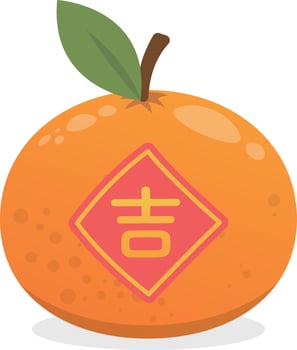 Elements of Chinese New Year tangerine, fresh fruit, culture and tradition, celebration festival, vector cartoon style