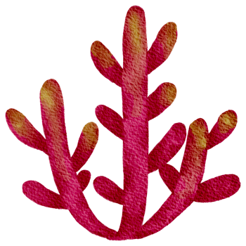 Cactus succulent plant watercolor png