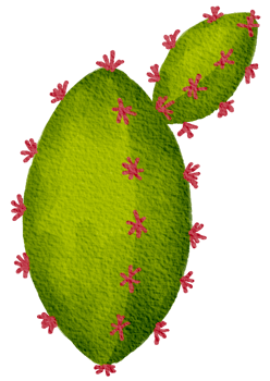 Cactus succulent plant watercolor png