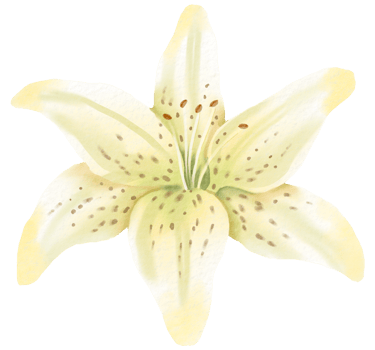 Watercolor Floral Botanical hand paint png