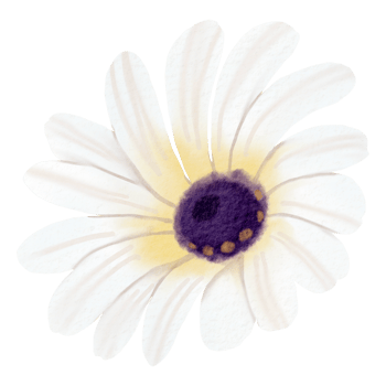 Watercolor Floral Botanical hand paint png