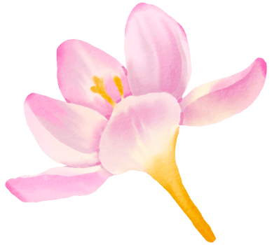 Watercolor Floral Botanical hand paint png