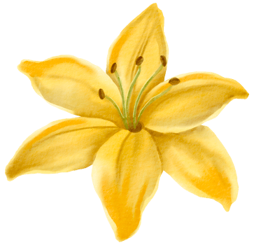 Watercolor Floral Botanical hand paint png