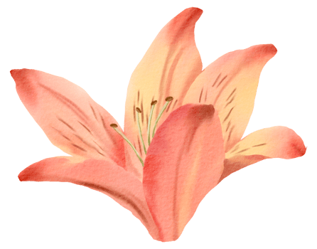 Watercolor Floral Botanical hand paint png