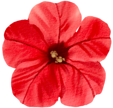 Watercolor Floral Botanical hand paint png