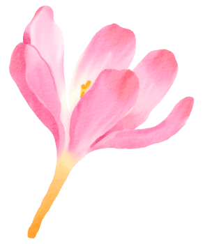 Watercolor Floral Botanical hand paint png