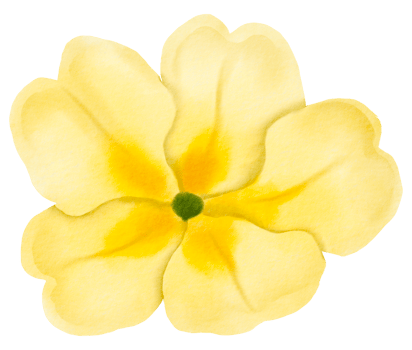 Watercolor Floral Botanical hand paint png