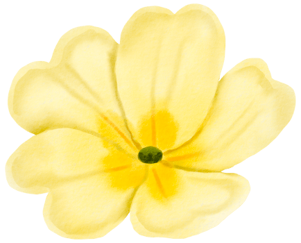 Watercolor Floral Botanical hand paint png