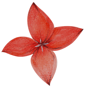 Watercolor Floral Botanical hand paint png