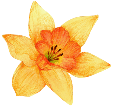 Watercolor Floral Botanical hand paint png