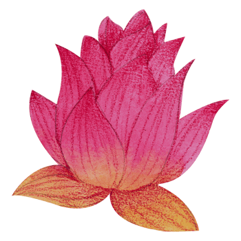Watercolor Floral Botanical hand paint png